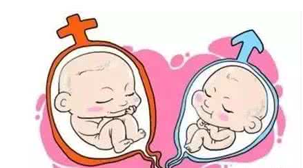 供卵孕妈带怀服务机构